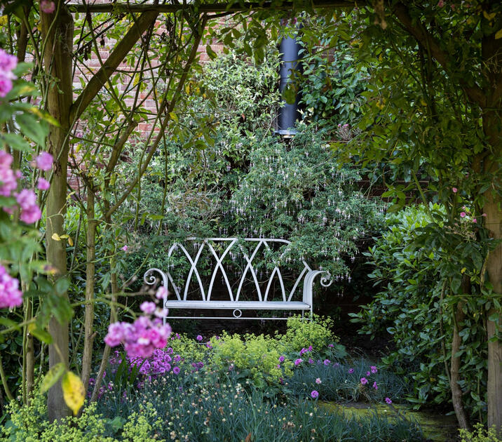 Bench - - Thorpland Hall Gardens