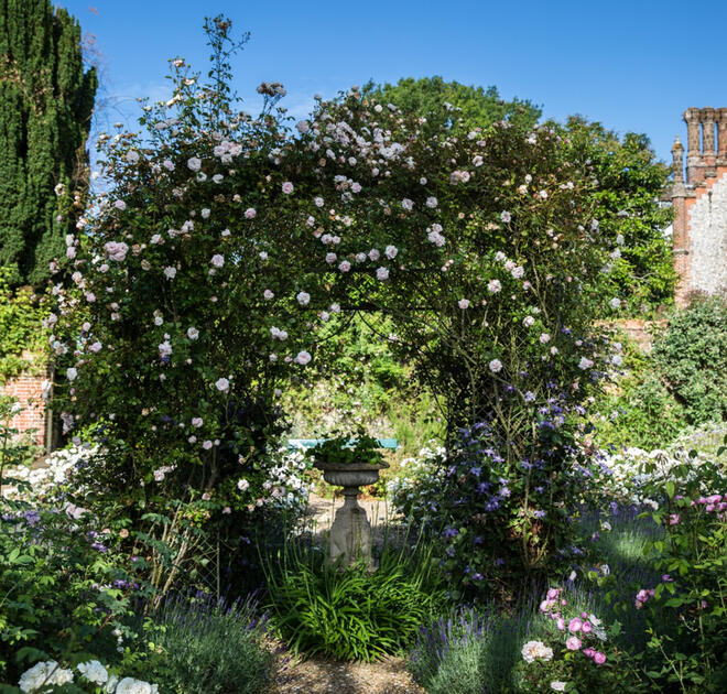 Rose Pergola - Thorpland Hall Gardens