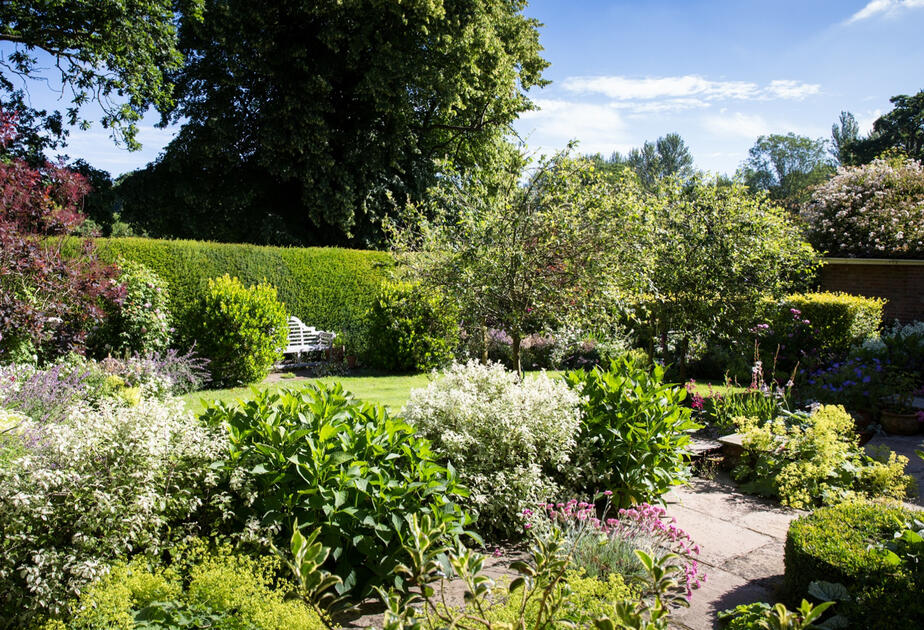 Back Garden - - Thorpland Hall Gardens