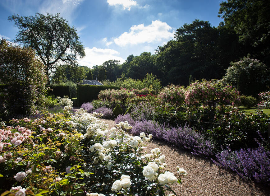 Rose Garden - - Thorpland Hall Gardens
