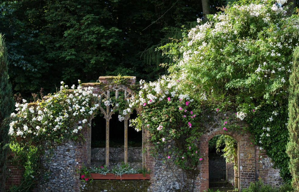 Chapel Ruin Window - Thorpland Hall Gardens